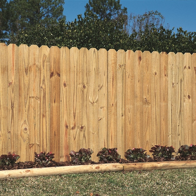 Pressure-Treated Pine Fence