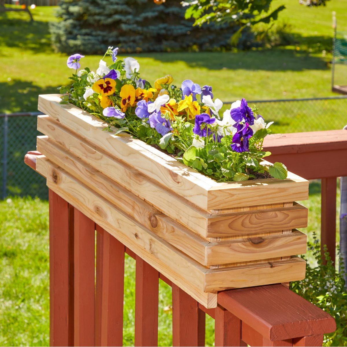 Planter Boxes