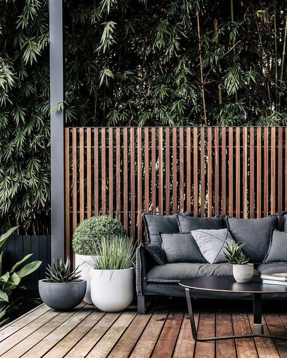 Privacy Screens